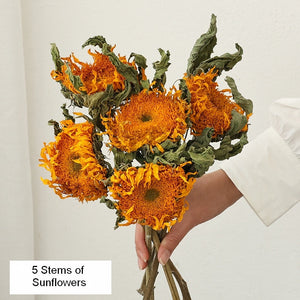 A Bunch of Sunflowers, Natural Decorations, Flower Arrangement, Handmade Artificial Flowers for Home Decor, Natural Dried Sunflower Stems-Art Painting Canvas