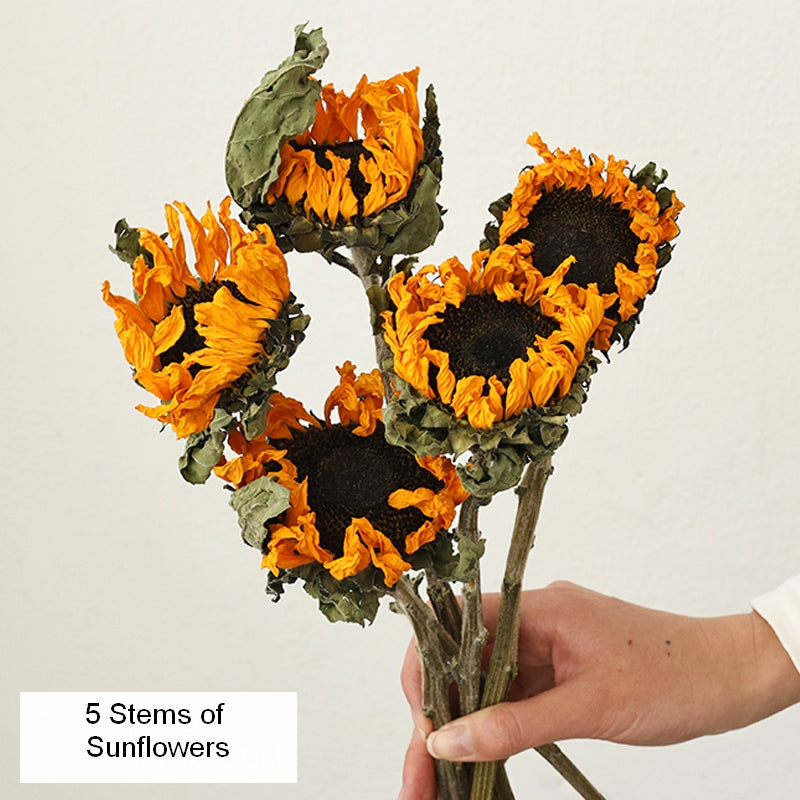 Natural Dried Sunflower Stems, Flower Arrangement, Natural Decorations, A Bunch of Sunflowers, Handmade Artificial Flowers for Home Decor-Art Painting Canvas