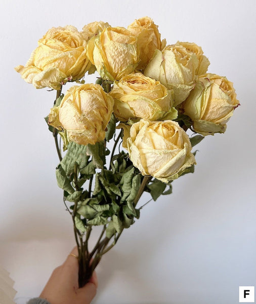 Rose Floral Bouquet, Dried Rose Flowers, Natural Dried Rose Flower Bunches, A Bunch Dried Rose Flowers, Red Yellow Purple Dried Rose Flowers-Art Painting Canvas