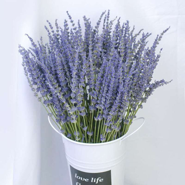 Flower Arrangements, Natural Dried Lavender Flower Bouquet, Natural Dried Lavender Flowers, A Bunch of Dried Lavender Flowers, Handmade Artificial Flowers for Home Decor-Art Painting Canvas