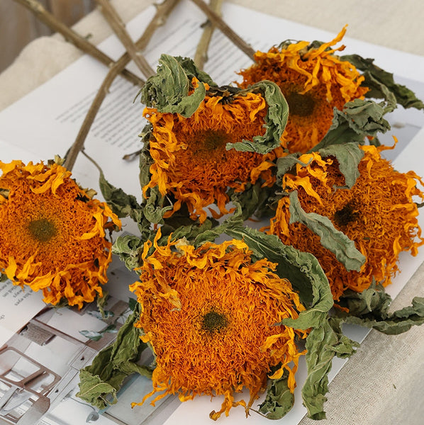 A Bunch of Sunflowers, Natural Decorations, Flower Arrangement, Handmade Artificial Flowers for Home Decor, Natural Dried Sunflower Stems-Art Painting Canvas