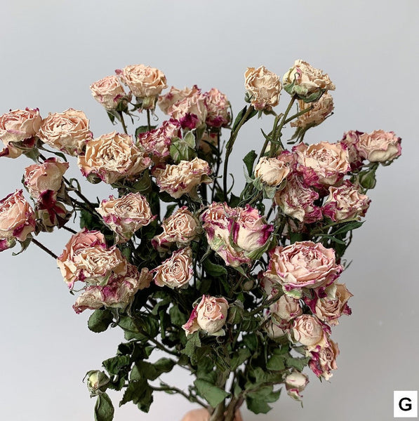 A Bouquet of Dried Rose Flowers, Dried Rose Flower Bouquet, Natural Dried Rose Flower Bunches, A Bunch Dried Rose Flowers, Red Yellow Purple Dried Rose Floral-Art Painting Canvas