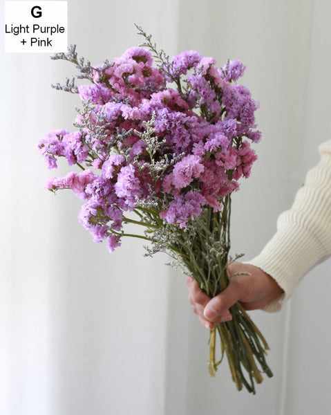 A Bunch Dried Myosotis Flowers with Limoniums, Dried Flowers, Flower Bunches, Dried Floral-Art Painting Canvas