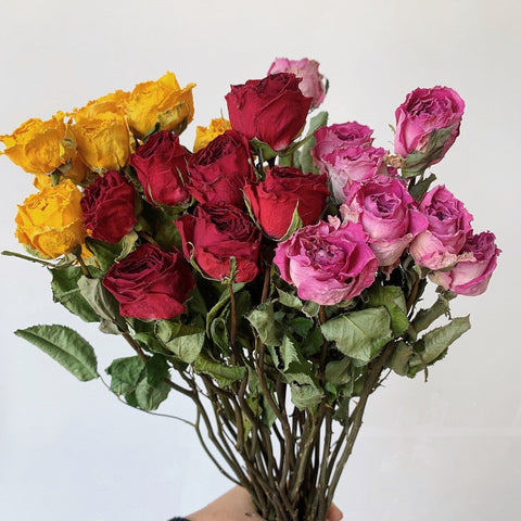 Dried Rose Floral Bouquet, Dried Rose Flowers, Natural Dried Rose Flower Bunches, A Bunch Dried Rose Flowers, Red Yellow Purple Dried Rose Flowers-Art Painting Canvas
