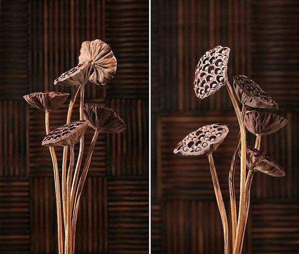 10 Stems Lotus Pods, Dried Lotus Pods, Natural Decor, Rustic Decor, Lotus Flower Arrangement-Art Painting Canvas