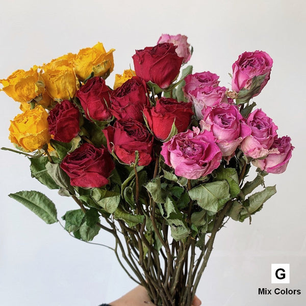 Rose Floral Bouquet, Dried Rose Flowers, Natural Dried Rose Flower Bunches, A Bunch Dried Rose Flowers, Red Yellow Purple Dried Rose Flowers-Art Painting Canvas