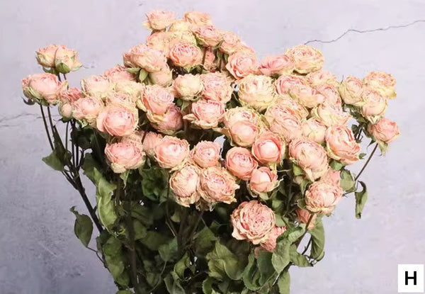 A Bouquet of Dried Rose Flowers, Dried Rose Flower Bouquet, Natural Dried Rose Flower Bunches, A Bunch Dried Rose Flowers, Red Yellow Purple Dried Rose Floral-Art Painting Canvas