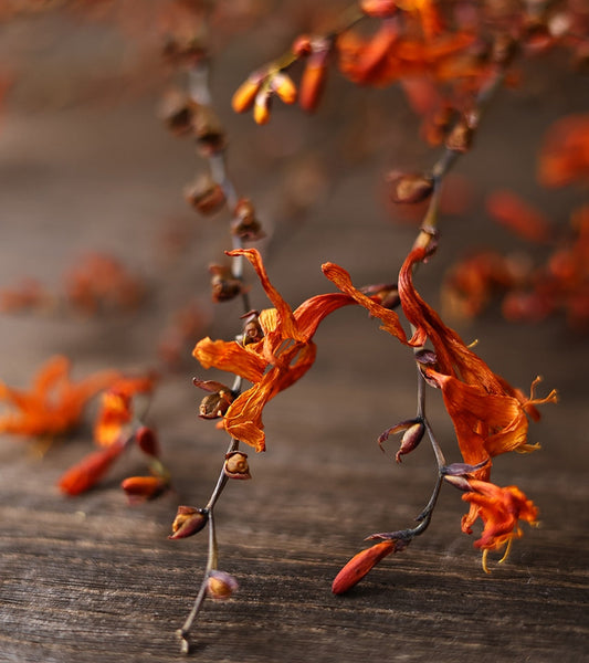 Dried Fire Orchid Bouquet, Natural Decorations, Flower Arrangement, Handmade Artificial Flower, Natural Dried Flowers-Art Painting Canvas