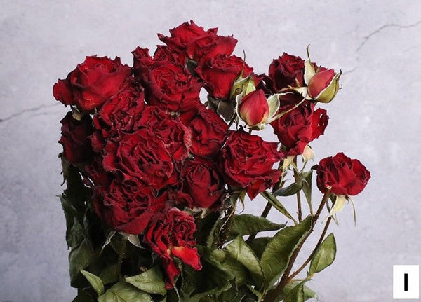 A Bouquet of Dried Rose Flowers, Dried Rose Flower Bouquet, Natural Dried Rose Flower Bunches, A Bunch Dried Rose Flowers, Red Yellow Purple Dried Rose Floral-Art Painting Canvas