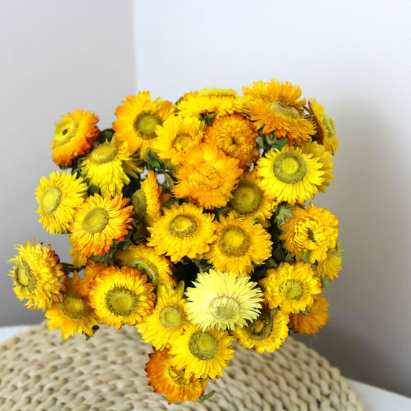 Natural Decorations, A Bunch of Dried Daisy Flowers, Flower Arrangements, Natural Dried Yellow Daisy Flowers, Handmade Artificial Flowers for Home Decor-Art Painting Canvas