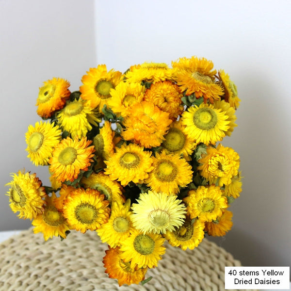 Natural Decorations, A Bunch of Dried Daisy Flowers, Flower Arrangements, Natural Dried Yellow Daisy Flowers, Handmade Artificial Flowers for Home Decor-Art Painting Canvas