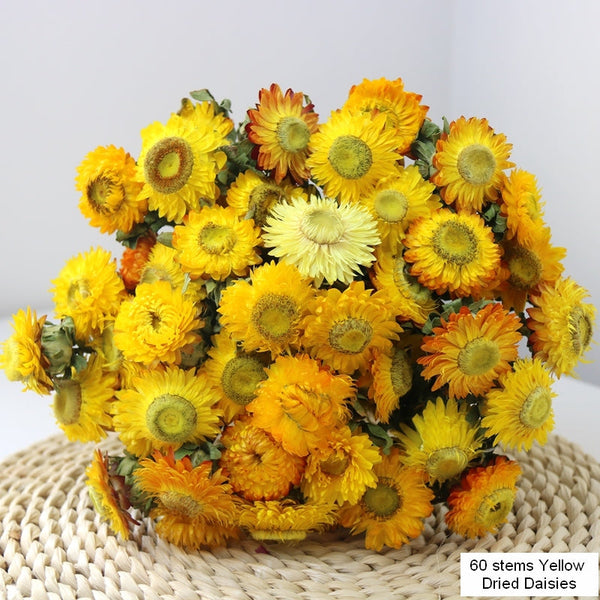 Natural Decorations, A Bunch of Dried Daisy Flowers, Flower Arrangements, Natural Dried Yellow Daisy Flowers, Handmade Artificial Flowers for Home Decor-Art Painting Canvas