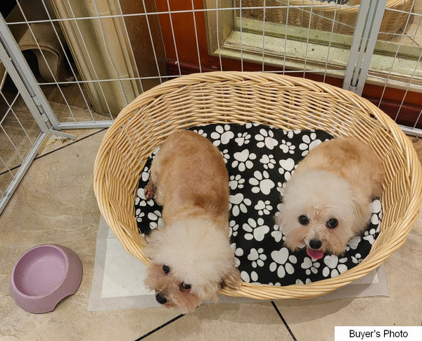 Natural Wicker Dog Bed with Washable Cushion for Indoor Cats and Dogs, Hand woven Rattan Cat Beds