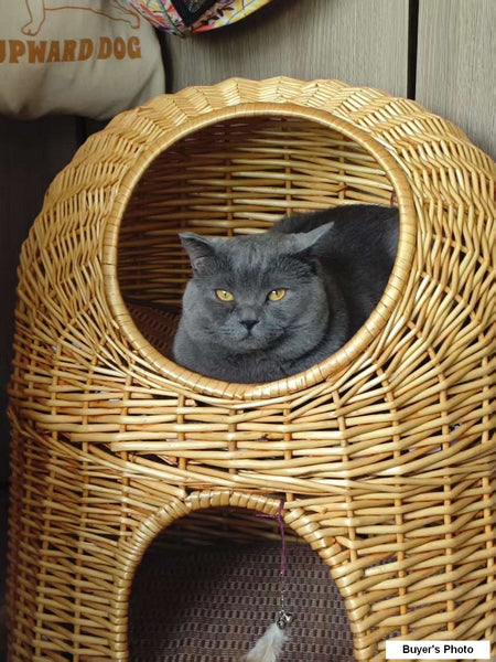 Large Cat House Basket with Washable Cushion for Indoor Cats and Dogs, Double-Layer Cat Bed