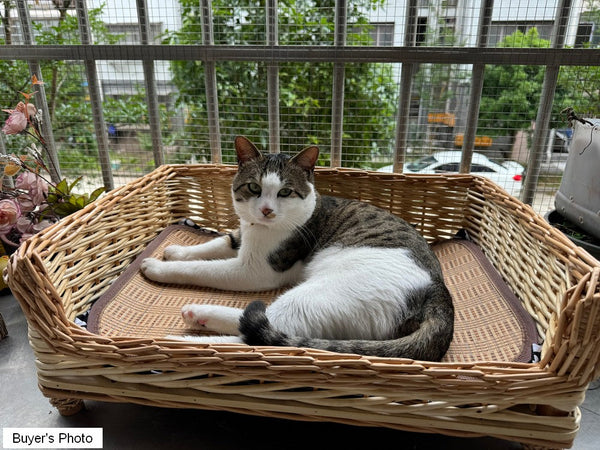 Large Natural Wicker Dog Bed with Washable Cushion for Indoor Cats and Dogs, Hand Woven Rattan Cat Beds-Art Painting Canvas