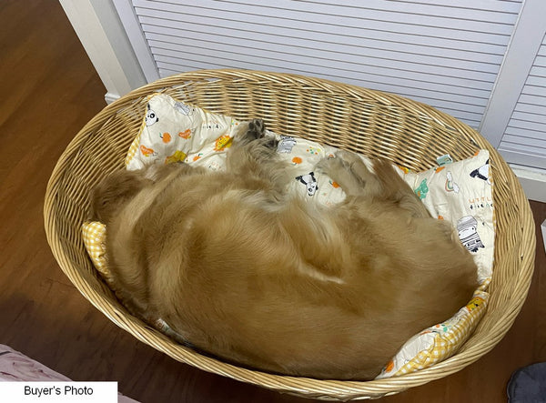 Hand woven Rattan Cat Beds, Extra Large Natural Wicker Dog Bed with Washable Cushion for Indoor Cats and Dogs-Art Painting Canvas