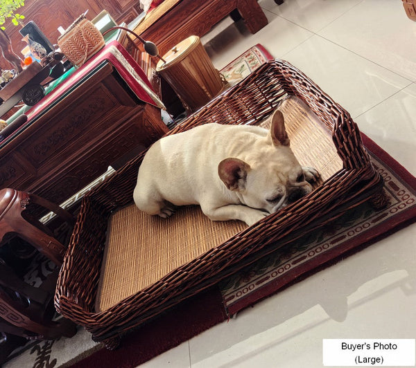 Hand Woven Rattan Cat Beds, Extra Large Natural Wicker Dog Bed with Washable Cushion for Indoor Cats and Dogs-Art Painting Canvas