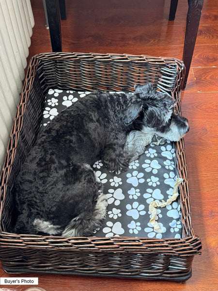 Large Natural Wicker Dog Bed with Washable Cushion for Indoor Cats and Dogs, Hand Woven Rattan Cat Beds-Art Painting Canvas