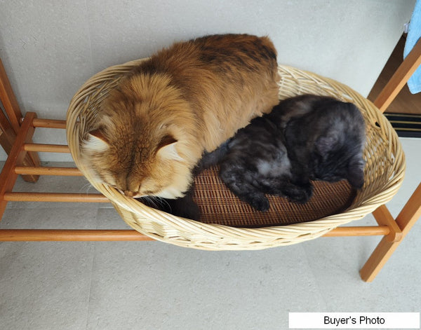 Hand woven Rattan Cat Beds, Extra Large Natural Wicker Dog Bed with Washable Cushion for Indoor Cats and Dogs-Art Painting Canvas