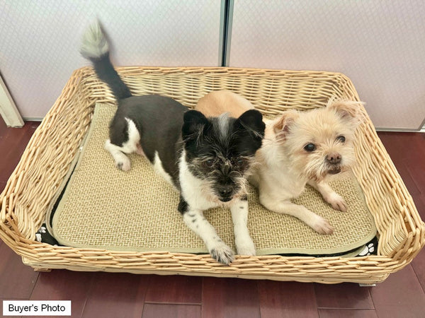 Large Natural Wicker Dog Bed with Washable Cushion for Indoor Cats and Dogs, Hand Woven Rattan Cat Beds-Art Painting Canvas