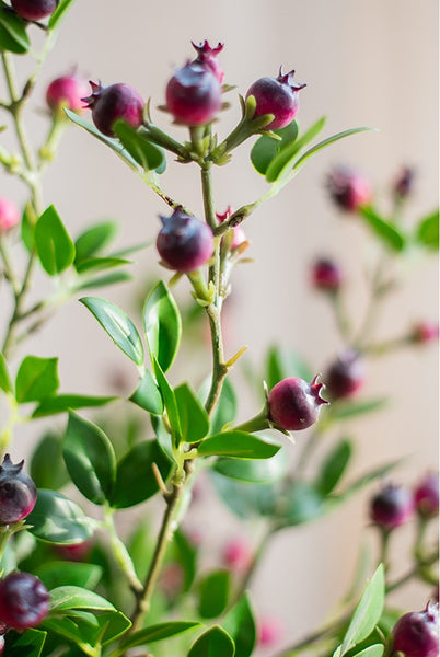 Simple Artificial Flowers for Living Room, Blueberry Fruit Branch, Flower Arrangement Ideas for Home Decoration, Spring Artificial Floral for Bedroom-Art Painting Canvas