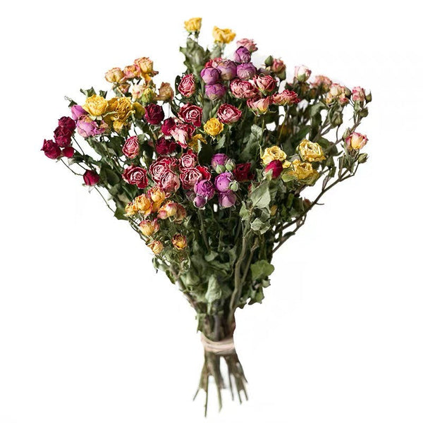 A Bouquet of Dried Rose Flowers, Dried Rose Flower Bouquet, Natural Dried Rose Flower Bunches, A Bunch Dried Rose Flowers, Red Yellow Purple Dried Rose Floral-Art Painting Canvas