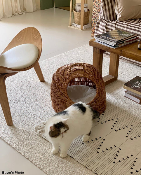 Indoor Cat Bed, Natural Wicker Cat House Basket with Washable Cushion for Indoor Cats and Dogs-Art Painting Canvas