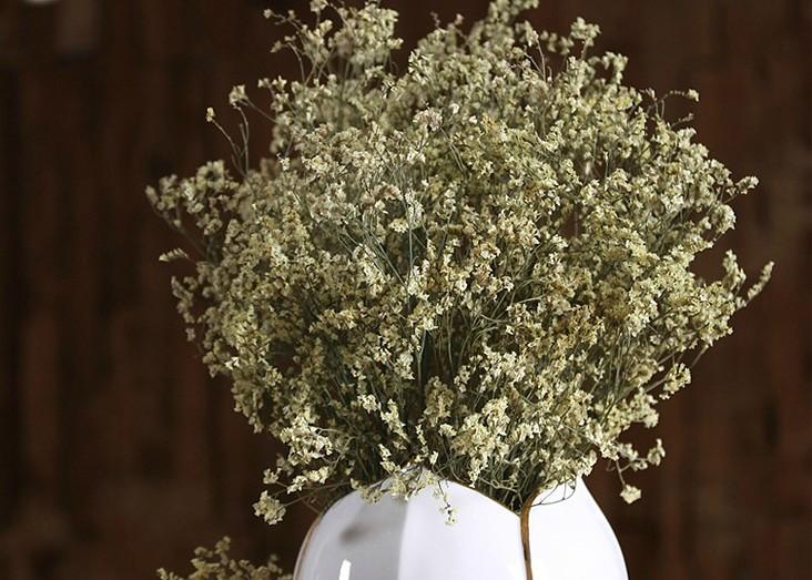 Decorative Grass, Floral arrangements, bouquets, dried crystal flowers, dried grass-Art Painting Canvas