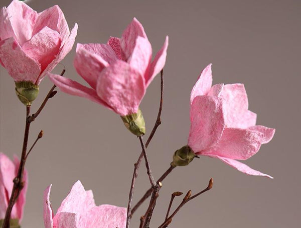 Magnolia flower, Handmade Artificial Flower, Natural Decorations, Flower Arrangement-Art Painting Canvas