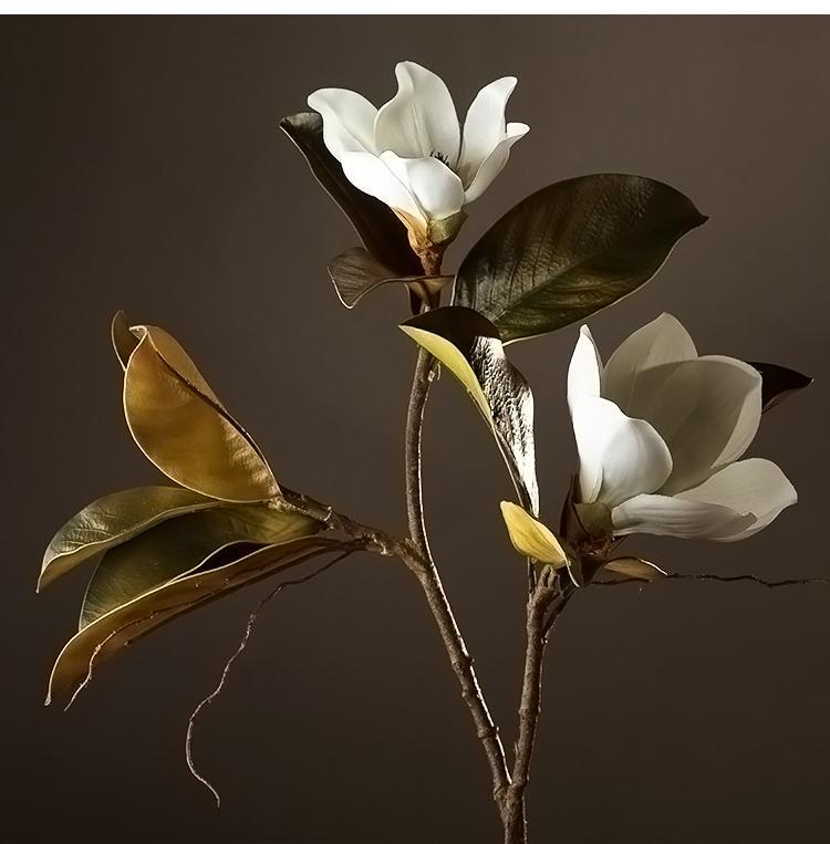 Large White Magnolias Artificial Flowers, Artificial Botany Plants, Magnolia Flower, Silk Flower Arrangement-Art Painting Canvas