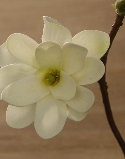 Artificial White Magnolia Stem, Artificial Flower, Silk Flowers, Flux Flowers, Artificial Floral-Art Painting Canvas