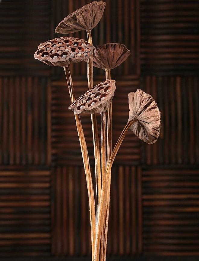 10 Stems Lotus Pods, Dried Lotus Pods, Natural Decor, Rustic Decor, Lotus Flower Arrangement-Art Painting Canvas