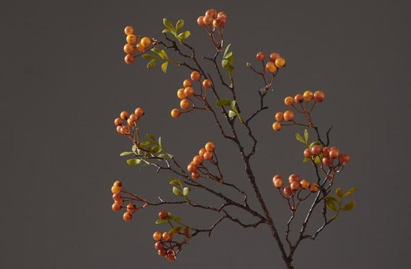 Rustic Artificial Autumn Fruit, Stem 28" Tall, Flower Arrangement, Botanicial Plant-Art Painting Canvas