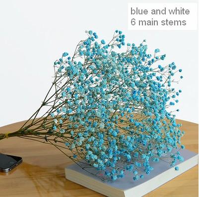 Dried Babys Breath Bunch, Dried Flowers, Gypsophila, GYP, Wedding Mason Jar Filler-Art Painting Canvas