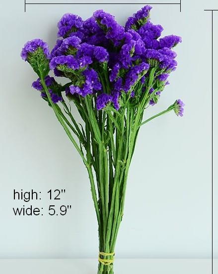Dried Statices Flower, Dried Flowers, Flower Bunches, Dried Floral-Art Painting Canvas