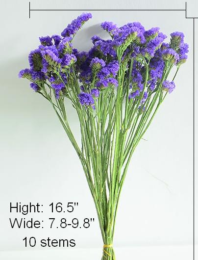 A Bunch Dried Statices Flowers with Limoniums, Dried Flowers, Flower Bunches, Dried Floral-Art Painting Canvas