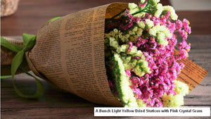 A Bunch Dried Statices Flowers with Limoniums, Crystal Flower Dried Flowers-Art Painting Canvas