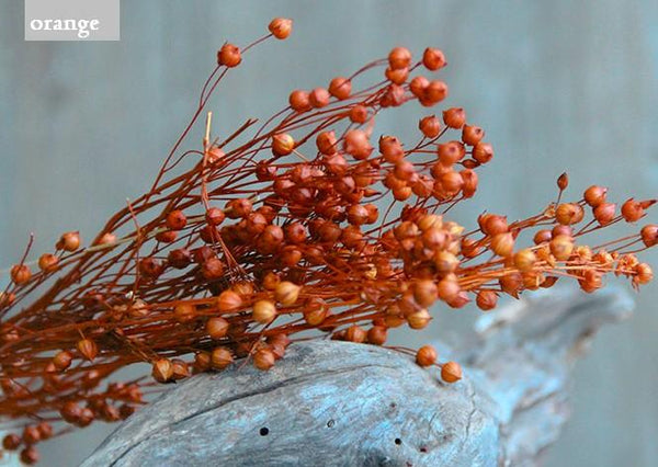 Natural Dried Flower Arrangements, A Bunch Dried Acacia Beans, Dried Floral, Bulk Flowers-Art Painting Canvas