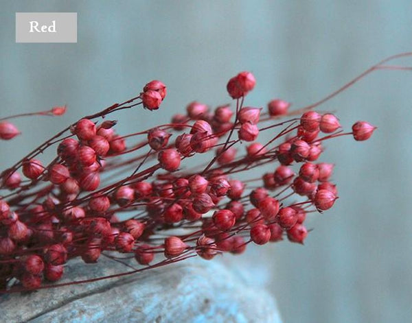 Natural Dried Flower Arrangements, A Bunch Dried Acacia Beans, Dried Floral, Bulk Flowers-Art Painting Canvas