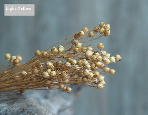 Natural Dried Flower Arrangements, A Bunch Dried Acacia Beans, Dried Floral, Bulk Flowers-Art Painting Canvas