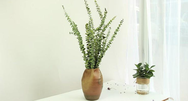 Dried Silver Dollar Eucalyptus, Dried Flowers, Dried Greenery, Eucalyptus Garland, Dried Leaves-Art Painting Canvas