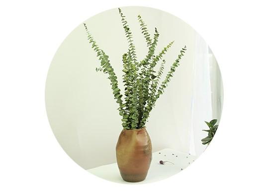 Dried Silver Dollar Eucalyptus, Dried Flowers, Dried Greenery, Eucalyptus Garland, Dried Leaves-Art Painting Canvas