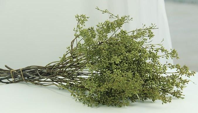 Dried Seek, Dried Flowers, Botanical Home Decor, Seed Stalks. Natural Greenery-Art Painting Canvas