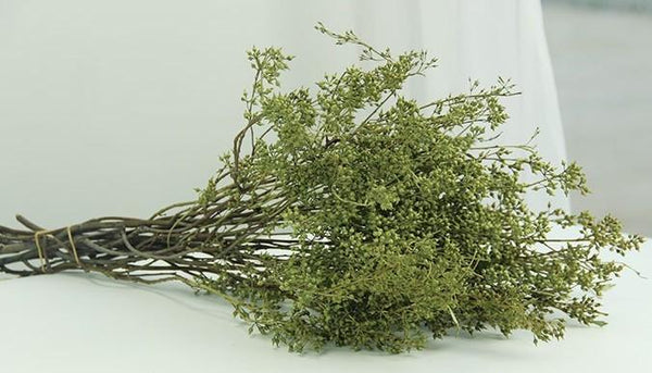 Dried Seek, Dried Flowers, Botanical Home Decor, Seed Stalks. Natural Greenery-Art Painting Canvas