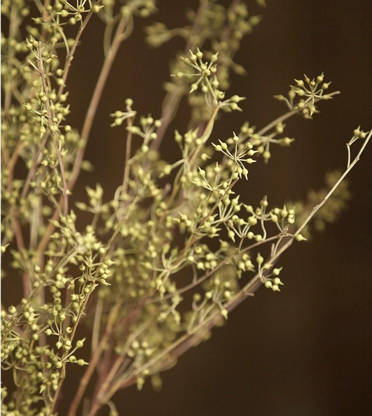 Dried Seed Pods, Seed Stalks, Natural Greenery, Dried Flowers. Floral arrangements, bouquets-Art Painting Canvas