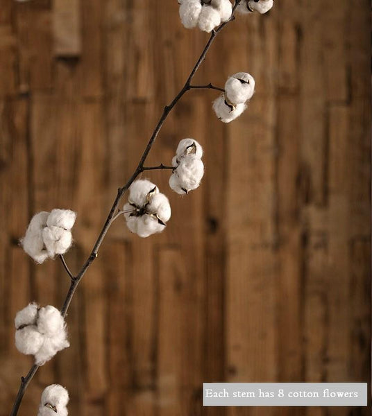 Dried Cotton Stalks, Cotton Stalks, Dried Decor, Natural Decorations, Cotton Flower-Art Painting Canvas