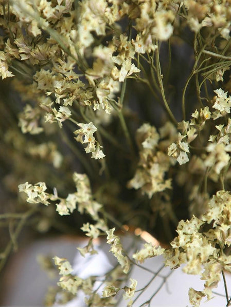 Decorative Grass, Floral arrangements, bouquets, dried crystal flowers, dried grass-Art Painting Canvas