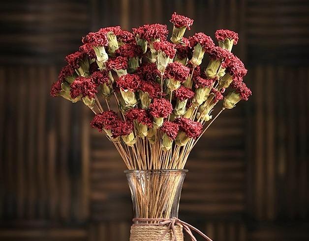 Dried Carnation, Flower Arrangement, Dried Decor, Natural Decorations-Art Painting Canvas