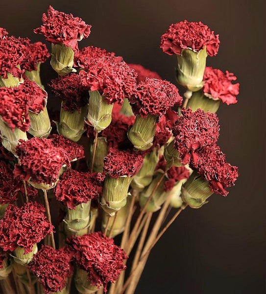 Dried Carnation, Flower Arrangement, Dried Decor, Natural Decorations-Art Painting Canvas
