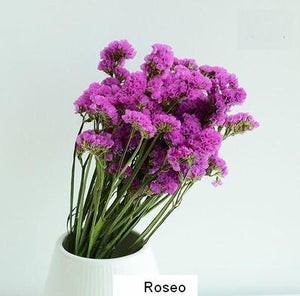 Dried Statices Flower, Dried Flowers, Flower Bunches, Dried Floral-Art Painting Canvas